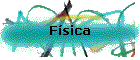 Fsica