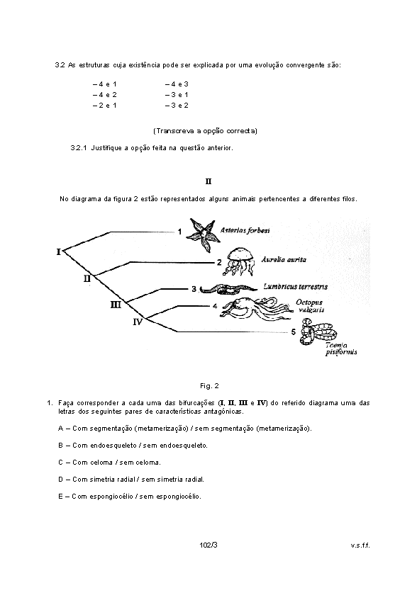 b3.gif (8883 bytes)