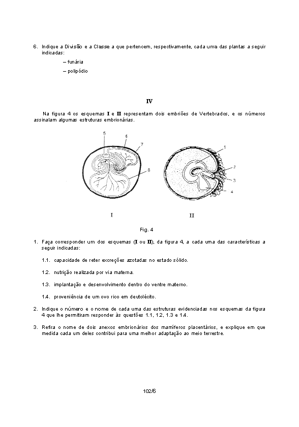 b6.gif (15015 bytes)
